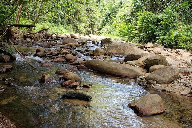 iconic waterfall tour - Authentic Experiences That Matter