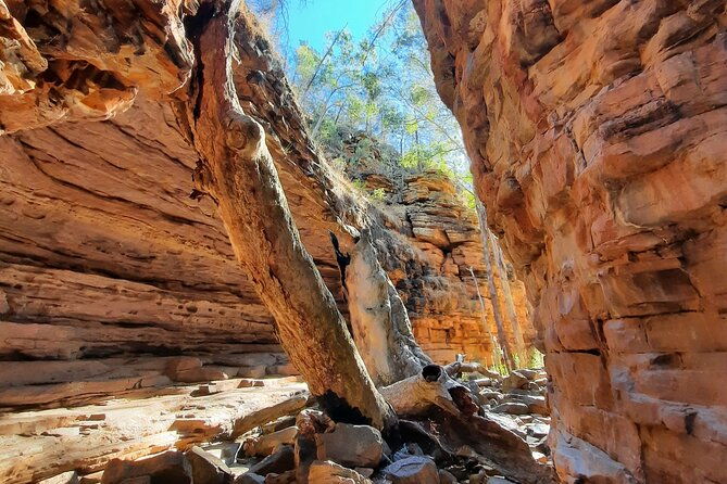 Ikara-Flinders Ranges Hiking Tour - 5 Days - Practical Details and Considerations