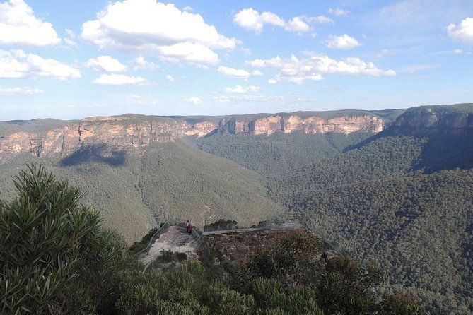 Inside the Greater Blue Mountains World Heritage - A Private Wildlife Safari Overnight - Why This Tour Offers Value