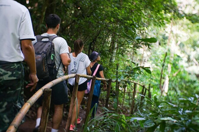 Inthanon National Park Tour with Soft Hike at Pha Dok Siew Trail - Cultural and Scenic Highlights