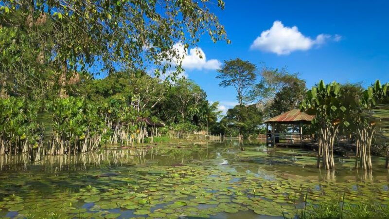 iquitos-6-hour-wonderful-wildlife-guided-tour