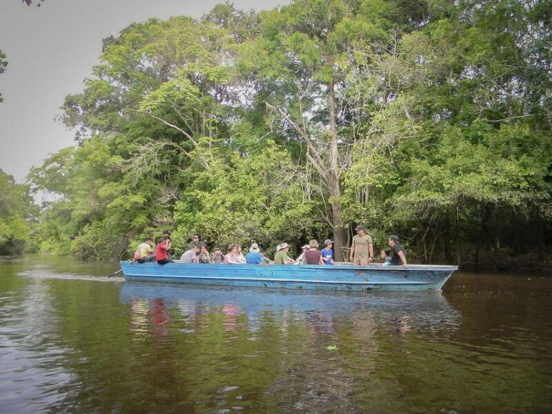 iquitos-amazon-jungle-4d-3n-journey-on-the-rainforest