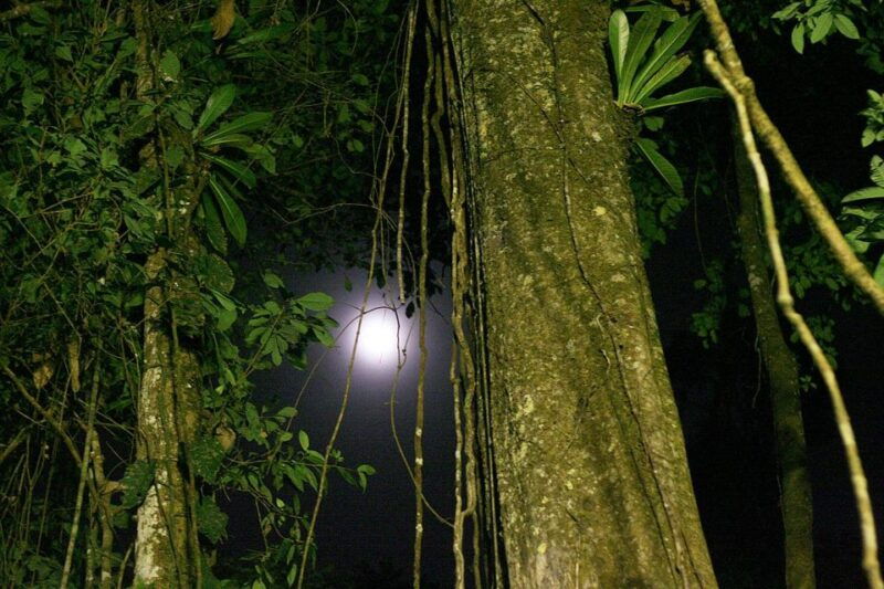iquitos-incredible-4-day-amazon-tour