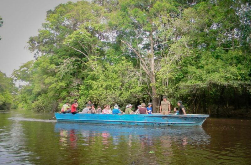 iquitos-to-the-amazon-2-day-jungle-wildlife-experience