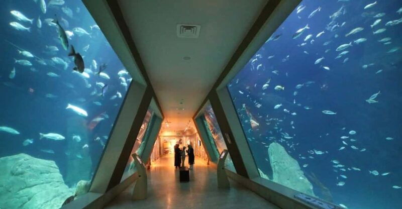 istanbul-aquarium-ticket-and-round-trip-shuttle-from-taksim