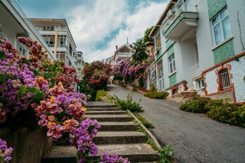 istanbul-princes-islands-walking-full-day-tour