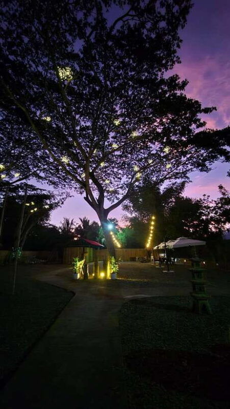 iwahig-river-cruise-firefly-watching