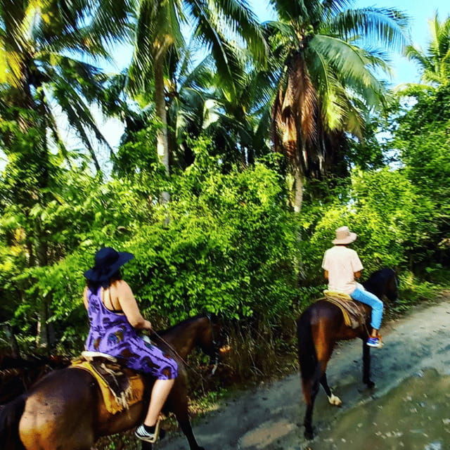 ixtapa-horseback-riding-tour-along-playa-larga