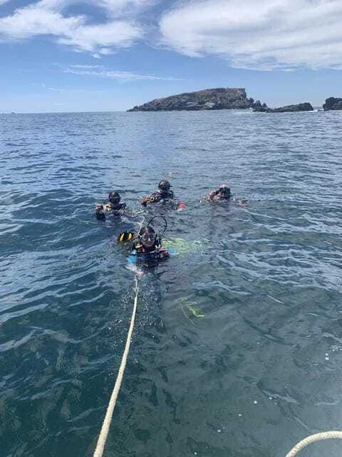 ixtapa-marine-life-exploration