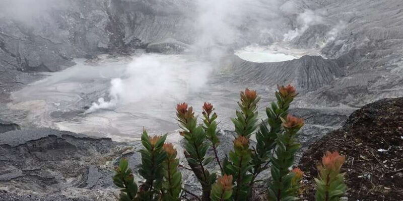jakarta-volcano-tea-rice-fields-hot-spring-local-food