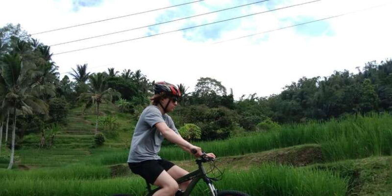 jatiluwih-unesco-site-2-hour-e-bike-cycling-tour