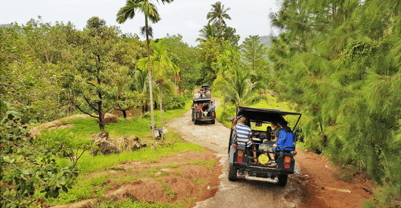 jeep-tour-koh-samui-jungle-safari-full-day-adventure