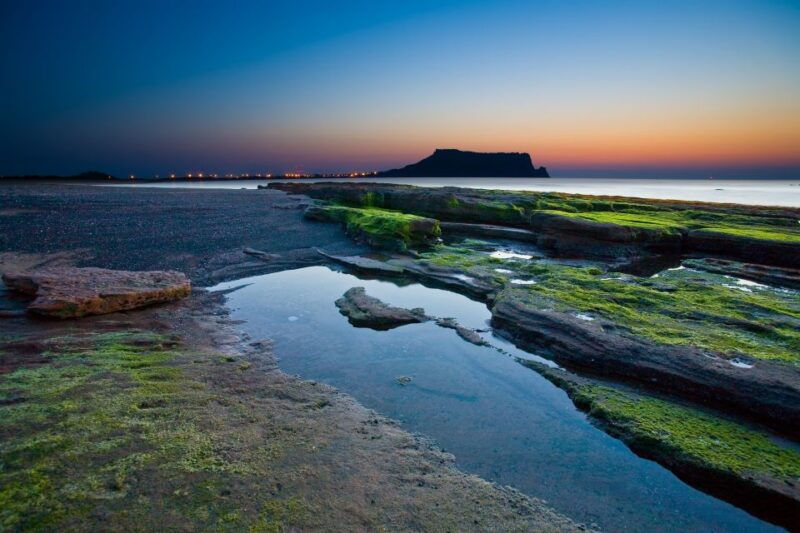 jeju-island-customized-private-full-day-van-tour