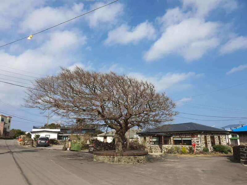 jeju-korean-tv-series-filming-sites-private-day-tour-east