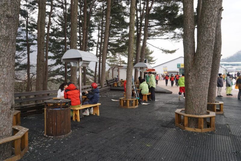 jisan-forest-resort-ski-full-day-tour-or-shuttle-from-seoul