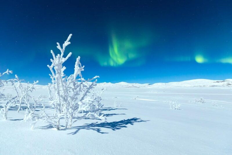 jokkmokk-cryotherapy-siberian-sauna-tent-with-snow-angels