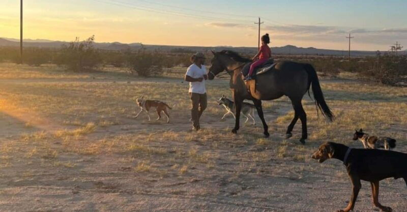 joshua-tree-pony-ride-for-children