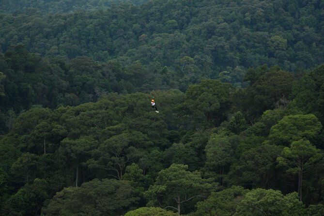 Jungle Flight Zipline Roller Coaster - Post-Zipline Refueling & Rest