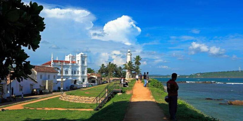 kalutara-turtle-hatchery-visit-boat-safari-and-galle-tour