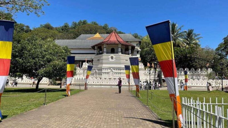 kandy-pinnawala-tea-factory-full-day-tour-from-colombo