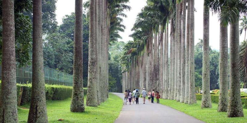 kandy-to-ambuluwawa-tower-day-tour
