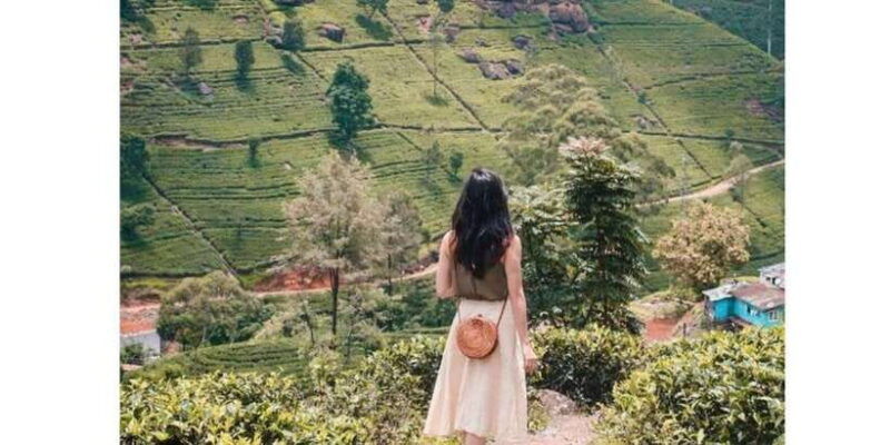 kandy-to-nuwaraeliya-day-or-drop-tour-by-local-tuk-tuk
