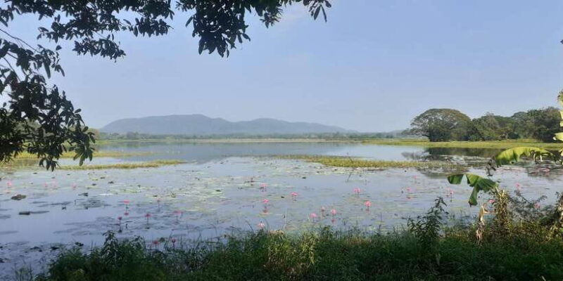 kandy-to-sigiriya-day-tour