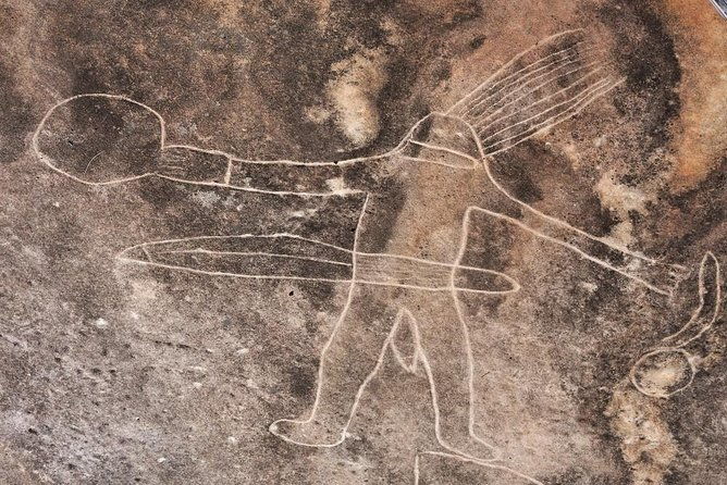 Kangaroo Encounter & Aboriginal Rock Arts Half-Day Trip from Sydney - The Sum Up