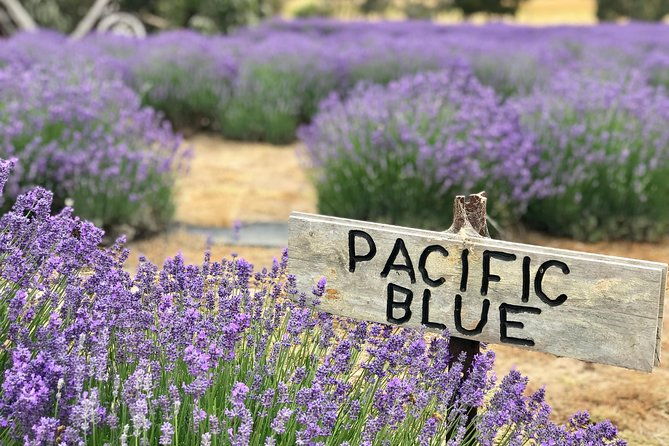 Kangaroo Island - Full Day Tasting Tour - The Sum Up  