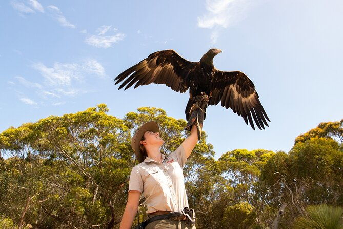 Kangaroo Island Iconic Sights and Wildlife Full-Day Tour - Frequently Asked Questions