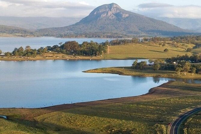 Kangaroos and Mountain Views Day Tour from Gold Coast - Authentic Feedback & Highlights from Reviewers
