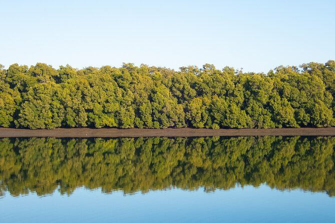 Kangaroos, mangroves and the ocean - Reviews & What Travelers Say