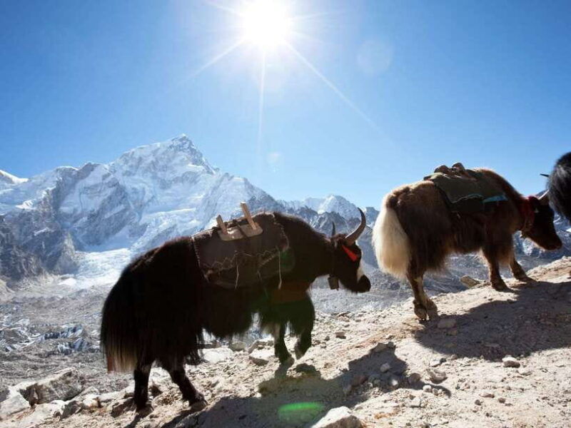 kathmandu-7-days-langtang-valley-trek