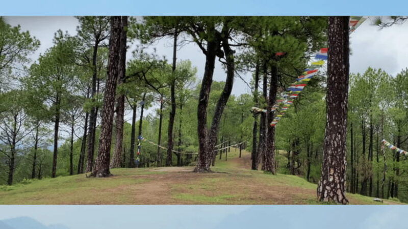 kathmandu-fresh-air-hiking-at-kapan-jagdol-nagi-gumba