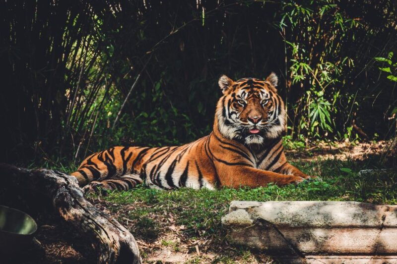 kathmandu-pokhara-2-day-chitwan-safari-private-tour-by-car