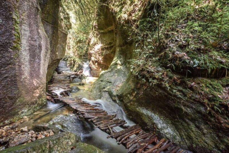kathmandu-shivapuri-national-park-top-day-hike-with-lunch