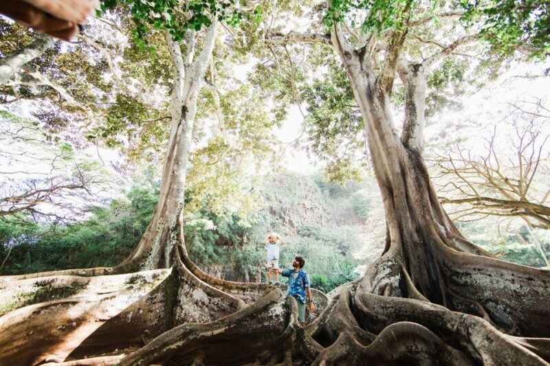 kauai-allerton-garden-guided-group-walking-tour
