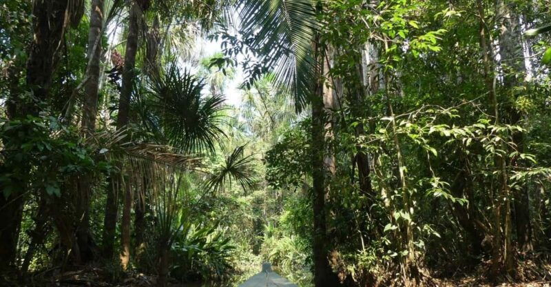 kayak-tour-monkey-island-full-day