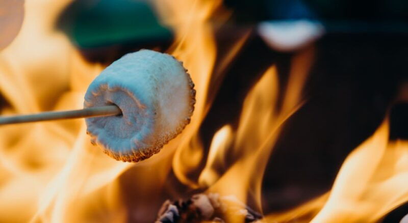 kelowna-honey-wine-tasting-mulled-wine-roasted-smores