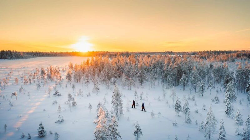 kemi-tornio-nature-tour-with-snowshoes
