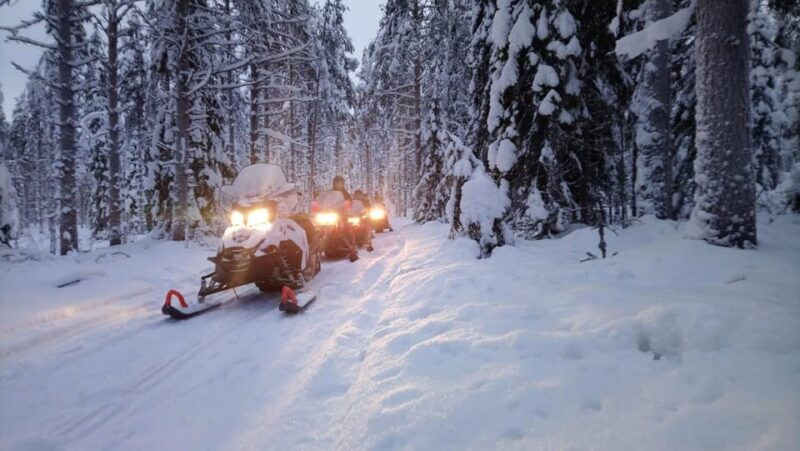 kemi-tornio-snowmobile-forest-safari-w-hot-drink-snacks