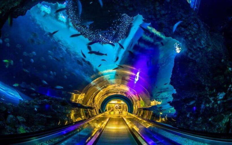 kenting-national-museum-of-marine-biology-aquarium