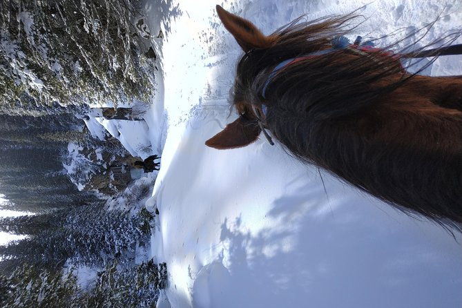 Ketmen ridge skitour programme - Authentic Experience and Guides