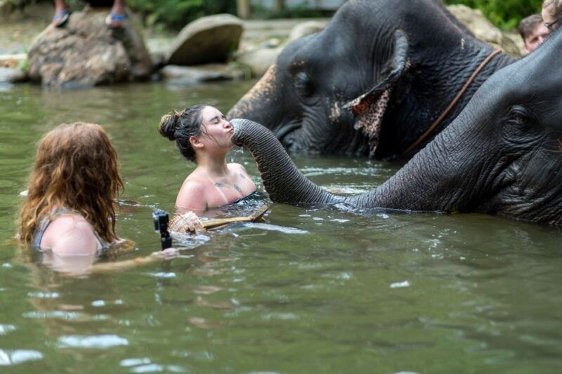 khao-lak-elephant-care-experience