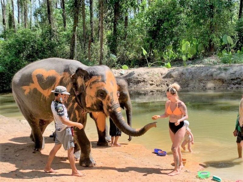 khao-lak-elephant-sanctuary-guided-tour