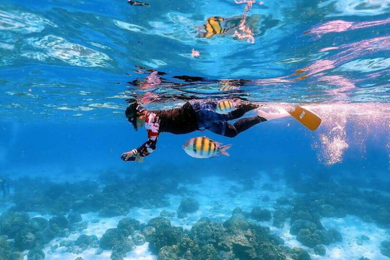 khao-lak-premium-tour-to-racha-islands-with-snorkel-lunch
