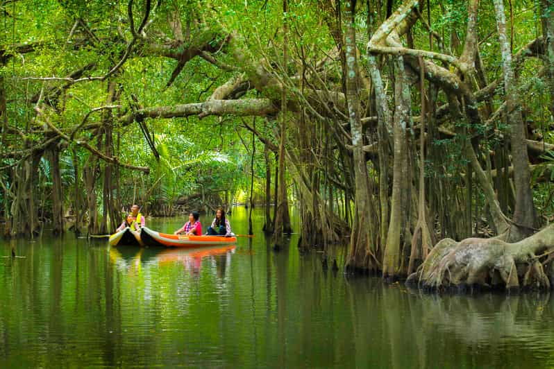khao-laks-little-amazon-canoe-trek-waterfall-day-trip