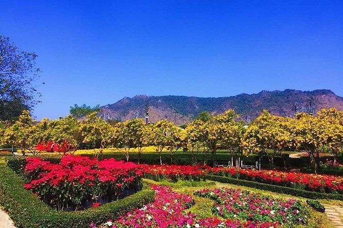 Khao Yai national Park day tour from Bangkok - The Sum Up