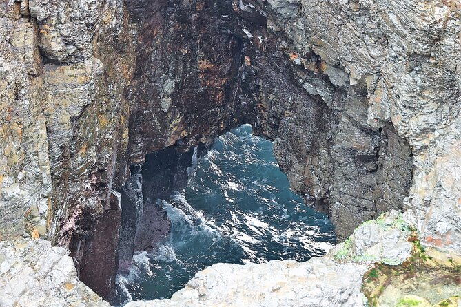 Kiama Blowholes, Sea Cliff Bridge and Royal National Park tour - Frequently Asked Questions