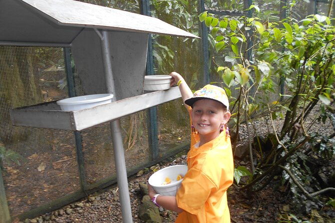 Kids Park Ranger for a Day - Is This Tour Right for Your Family?